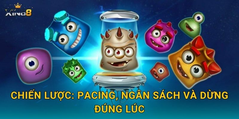 Chiến lược: pacing, ngân sách và dừng đúng lúc