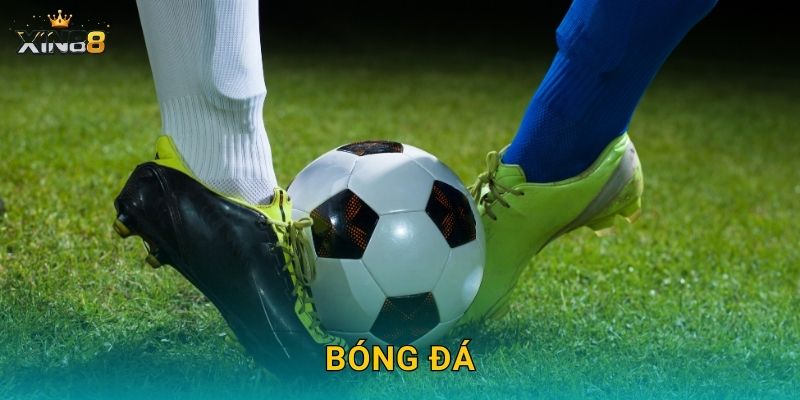 Bóng đá XIN88 – Kèo đa dạng, tỷ lệ đẹp và dữ liệu chuyên sâu