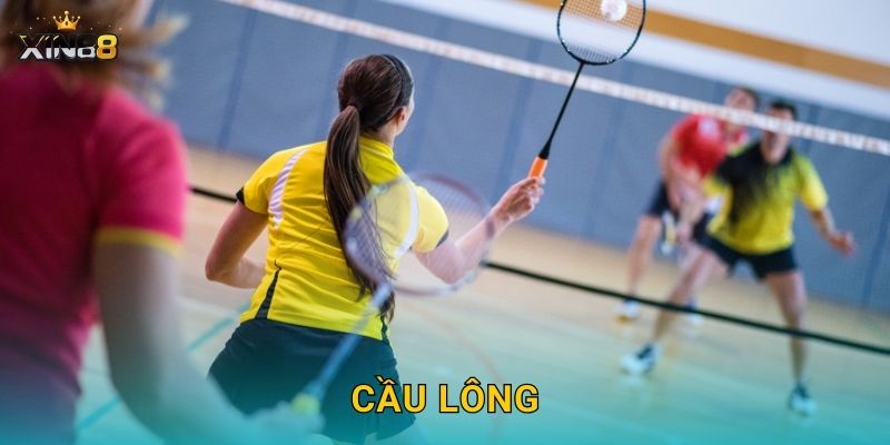 Cầu lông XIN88 – Tỷ lệ hấp dẫn, cược set và kèo trực tiếp live