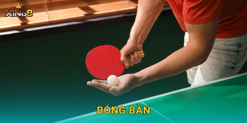 Bóng bàn XIN88 – Cược điểm từng set, live và tỷ lệ cuốn hút