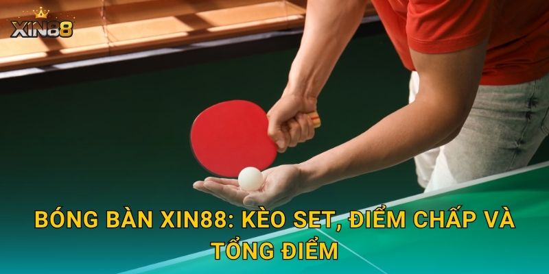 Bóng bàn XIN88: kèo set, điểm chấp và tổng điểm