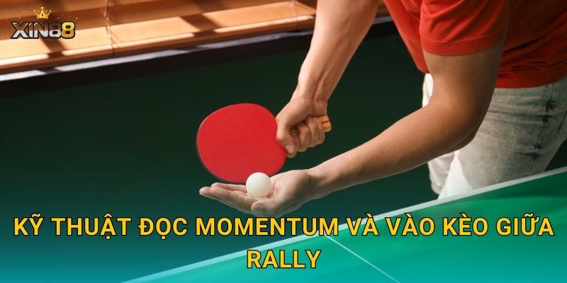 Kỹ thuật đọc momentum và vào kèo giữa rally