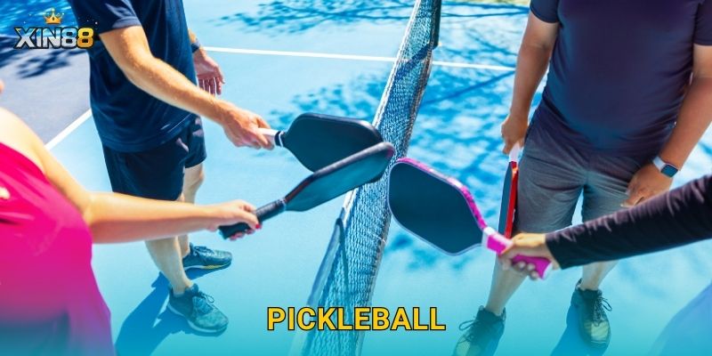 Pickleball XIN88 – Tỷ lệ đa dạng, cược handicap và kèo live