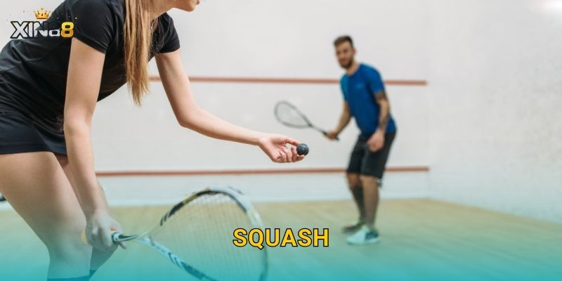Squash XIN88 – Cược set, live sôi động và dữ liệu chuyên sâu