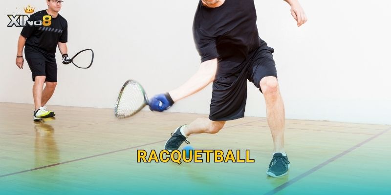Racquetball XIN88 – Kèo set/game hấp dẫn, cược live hấp dẫn