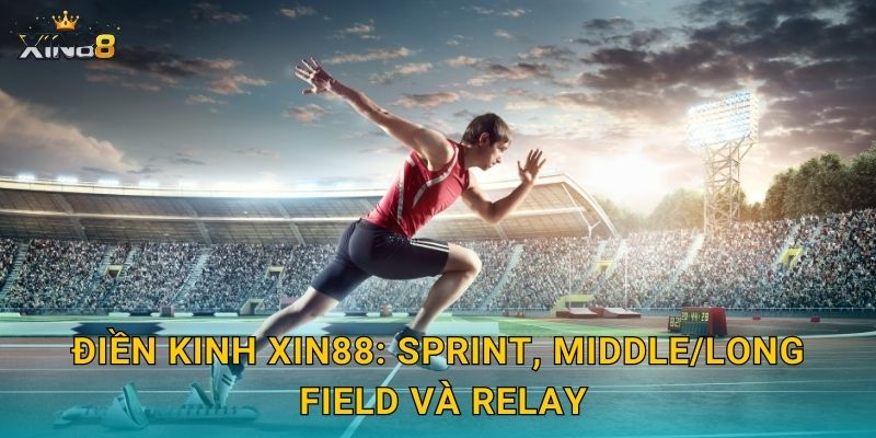 Điền kinh XIN88: sprint, middle/long, field và relay