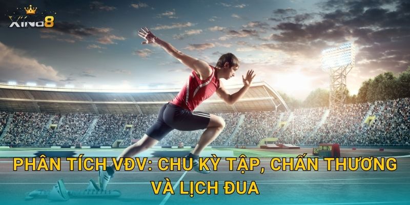 Phân tích VĐV: chu kỳ tập, chấn thương và lịch đua
