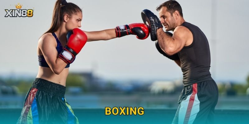 Boxing XIN88 – Kèo hiệp, phương thức thắng và thống kê sâu