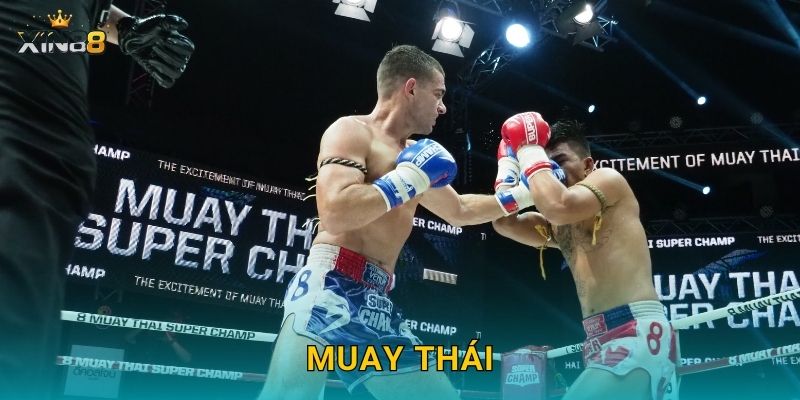 Muay Thái XIN88 – Tỷ lệ đẹp, cược kết quả và phân tích kèo sâu