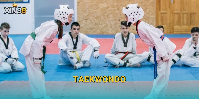 Taekwondo XIN88 – Kỹ thuật bùng nổ, kèo hiệp hấp dẫn đỉnh cao