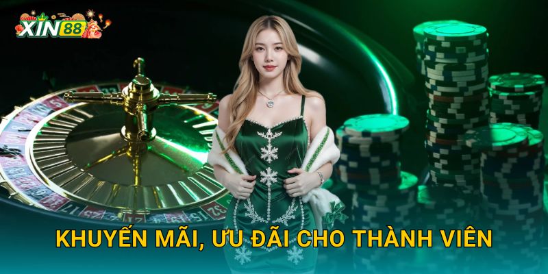 Khuyến mãi, ưu đãi cho thành viên